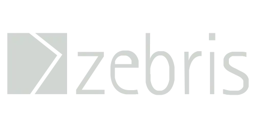 Logo Zebris