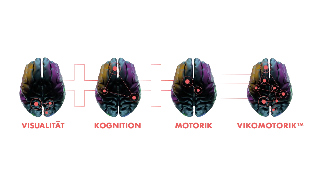 Die Grafik zeigt die Areale im Gehirn, die beim Vikomotorik Training angesprochen werden - eine Kombination aus Visualität, Kognition und Motorik
