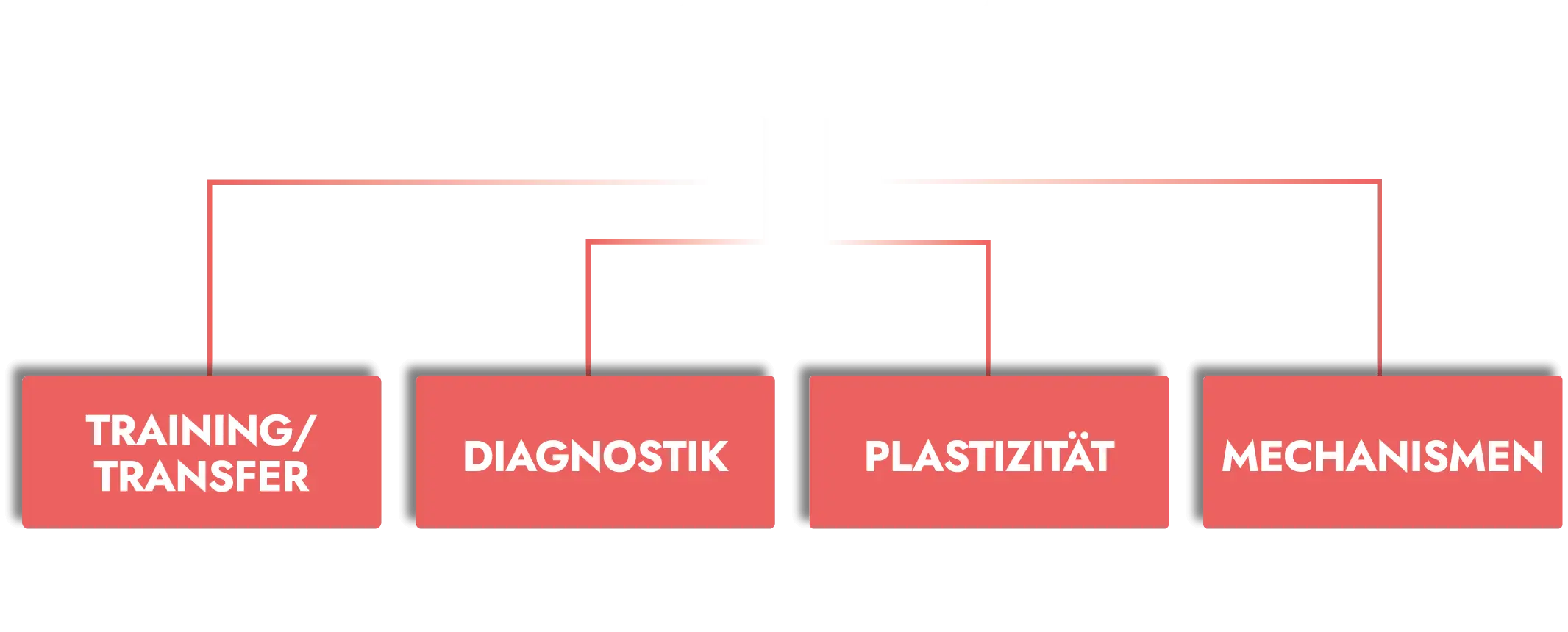 Grafik zu den SKILLCOURT Forschungsbereichen Training, Diagnostik, Plastizität und Mechanismen